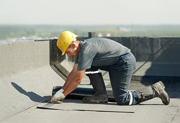 Best Residential Insulation in Sedro Woolley, WA